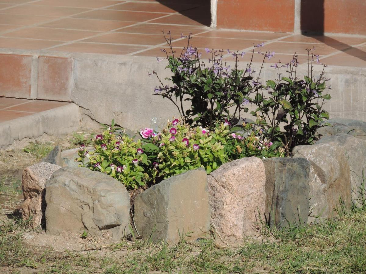 ホテル El Rancho De Manolo モリノス エクステリア 写真